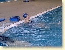 IMG00012.JPG