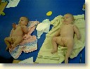 IMG00018.JPG