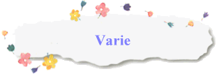 Varie