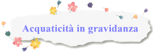 Acquaticit in gravidanza