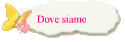 Dove siamo